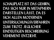 Schauplatz ist das Gehirn, das sich nur in Metaphern darstellen lässt, da es sich allen modernen Untersuchungsverfahren zum Trotz jeglicher eindeutigen Beschreibung vehement entzieht.